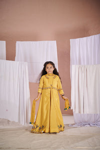 Yellow Parrot Anarkali Jacket Set