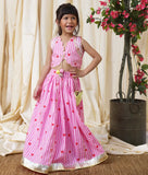 Pink Printed Lehenga Set