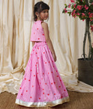 Pink Printed Lehenga Set