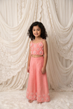 Embroidered floral  Palazzo set