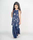 Baagh Hand Embroidered Navy Blue Kurta Set