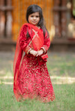 Adorable Red Velvet Top And Floral Sequins Embroidered Lehenga With Matching Dupatta