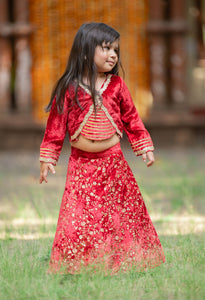 Adorable Red Velvet Top And Floral Sequins Embroidered Lehenga With Matching Dupatta