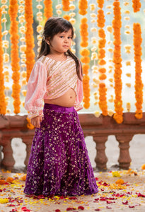 Pink Embroidered Velvet Top With Purple Ghagra