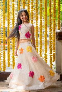 Elegant sequin work Top And Heavy Sequins Embroidered flower Lehenga