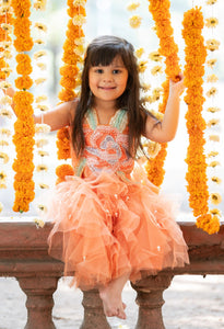 Vibrant Orange tulle style dress with flower embroidery on top