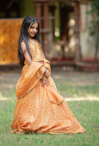 Embroidered crop top with orange Lahenga