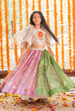 Flower embroidered crop top with panelled Lahenga