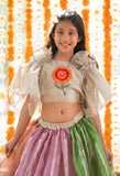 Flower embroidered crop top with panelled Lahenga