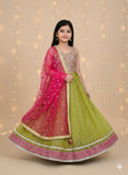 Dupion Silk Embroidered Choli and Organza Lehnga with Soft Net Embroidered Dupatta