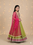 Dupion Silk Embroidered Choli and Organza Lehnga with Soft Net Embroidered Dupatta