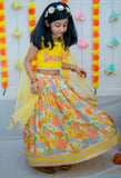 Lehenga Set