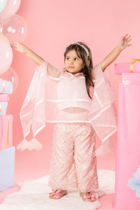 Flarry Organza Cape With Crop Top And Embroidered Pants