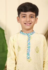 Panna Boys Ethnic Embroidered Kurta In Hand-Block Printed Cotton