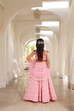 Neon Pink Mirror Embroidered Lehenga Choli