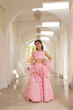 Neon Pink Mirror Embroidered Lehenga Choli