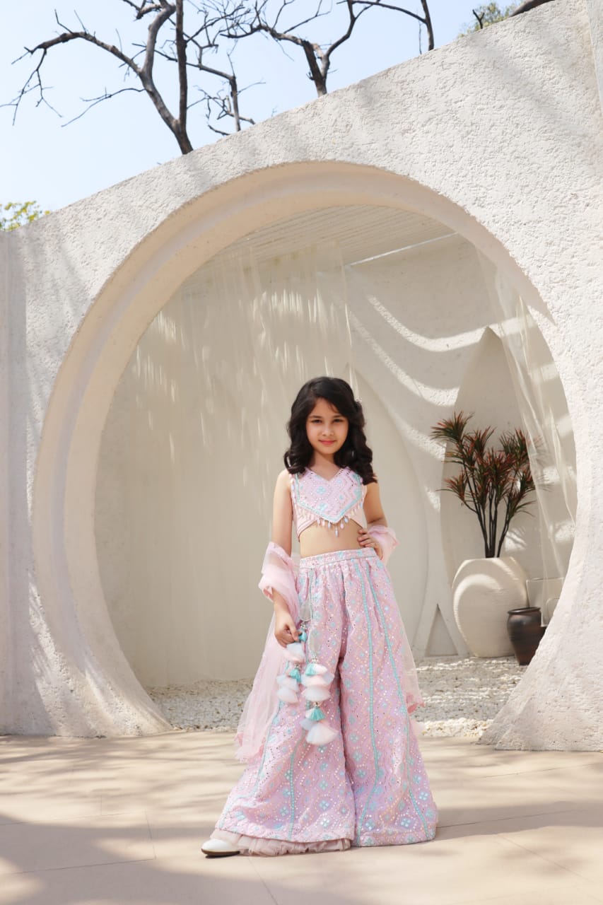 Baby Pink Embroidered Top With Plazzo Pant