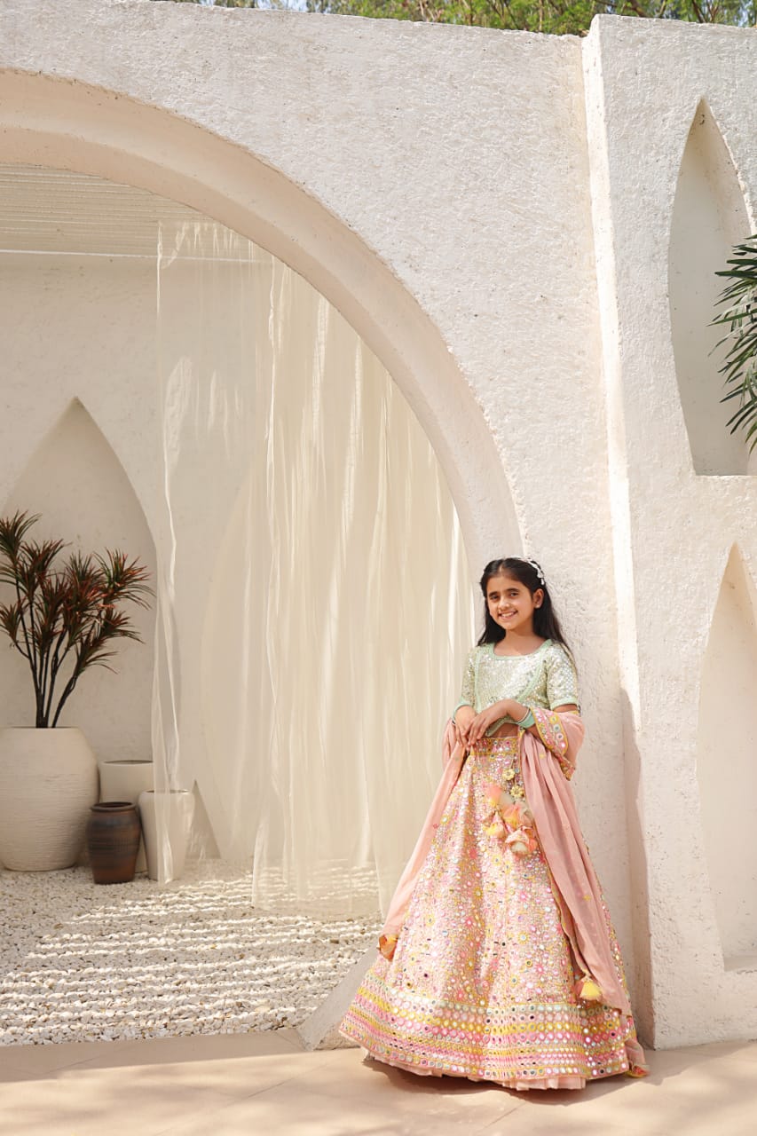 Peach Embroidered Choli With Lehenga