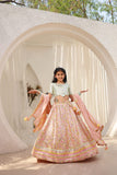 Peach Embroidered Choli With Lehenga