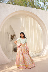 Peach Embroidered Choli With Lehenga