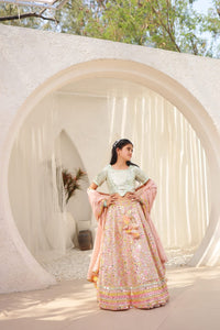 Peach Embroidered Choli With Lehenga