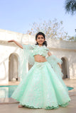 Pista Green Embroidered Lehenga Choli