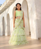 Pista Green Embroidered Lehenga Saree