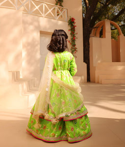 Green Brocade Anarkali