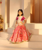 Purple Brocade Choli Lehenga Set