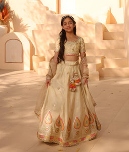 Golden Embroidered Lehenga Choli