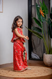 RED PATOLA GIRL