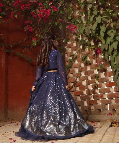 Blue Embroidered Lehenga Choli Set