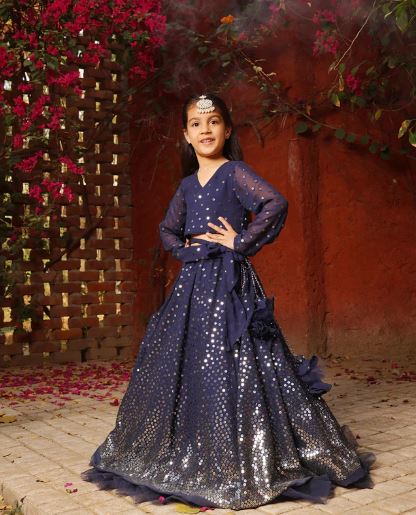 Blue Embroidered Lehenga Choli Set