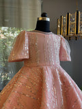 Baby Pink Shimmering And Glittering Silver Sequence Dress