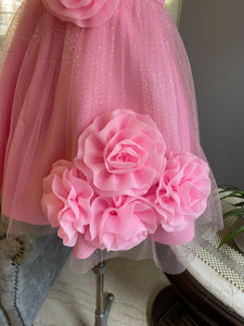 Lotus Pink Shimmer Six Rose Dress