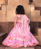 Pink Embroidred Choli With Purple Lehenga