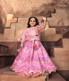 Pink Embroidred Choli With Purple Lehenga