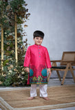 Pink Pichwai Kurta Set