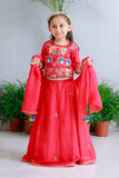Traditional red embroidered lehnga set