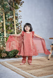 Tissue Salwar Kurta Set