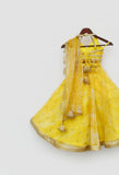 Yellow Printed Organza Lehenga Choli for Girls