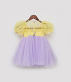 Yellow And Lilac Net Frock