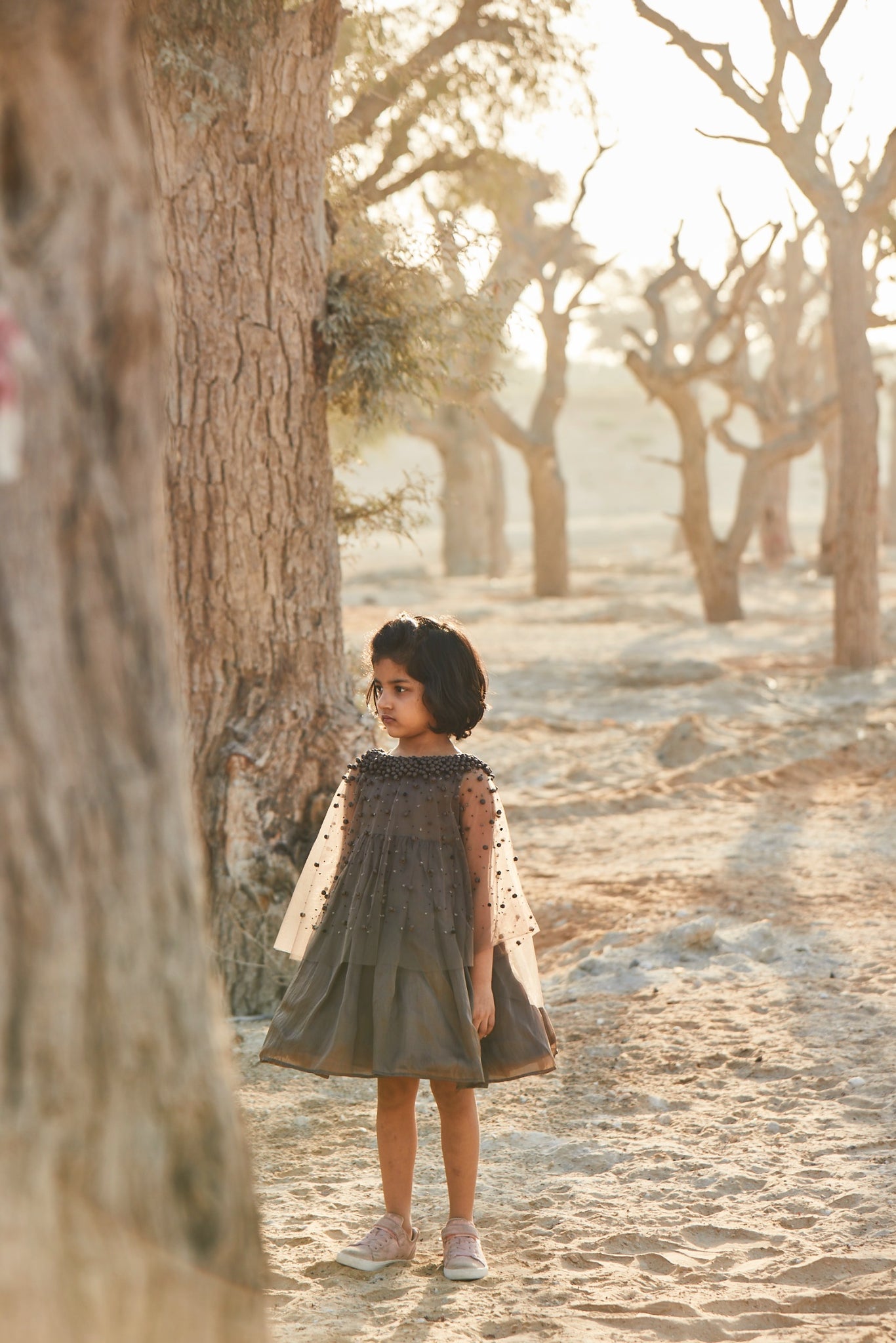 Hand Embroidered Cape and Silk Organza Dress