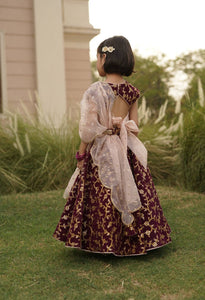 Wine Embroidery Velvet Lehenga Choli for Girls