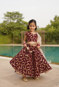 Wine Embroidery Velvet Lehenga Choli for Girls