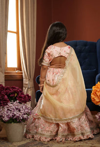 Peach Printed Lehenga Choli and Dupatta for Girls