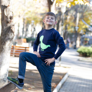 Unisex Blue Wanderer Dino Sweatshirt