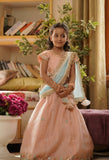 Peach Embroidery Lehenga Choli for Girls