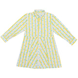 Bookworm Shirt Dress (Blue Dots And Yellow Stripes)