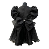 Limited Edition: The Alaia Organza Dress